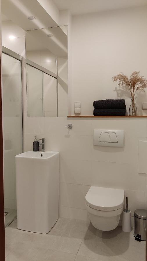 Apartamenty Ceglane Stary Toruń Extérieur photo